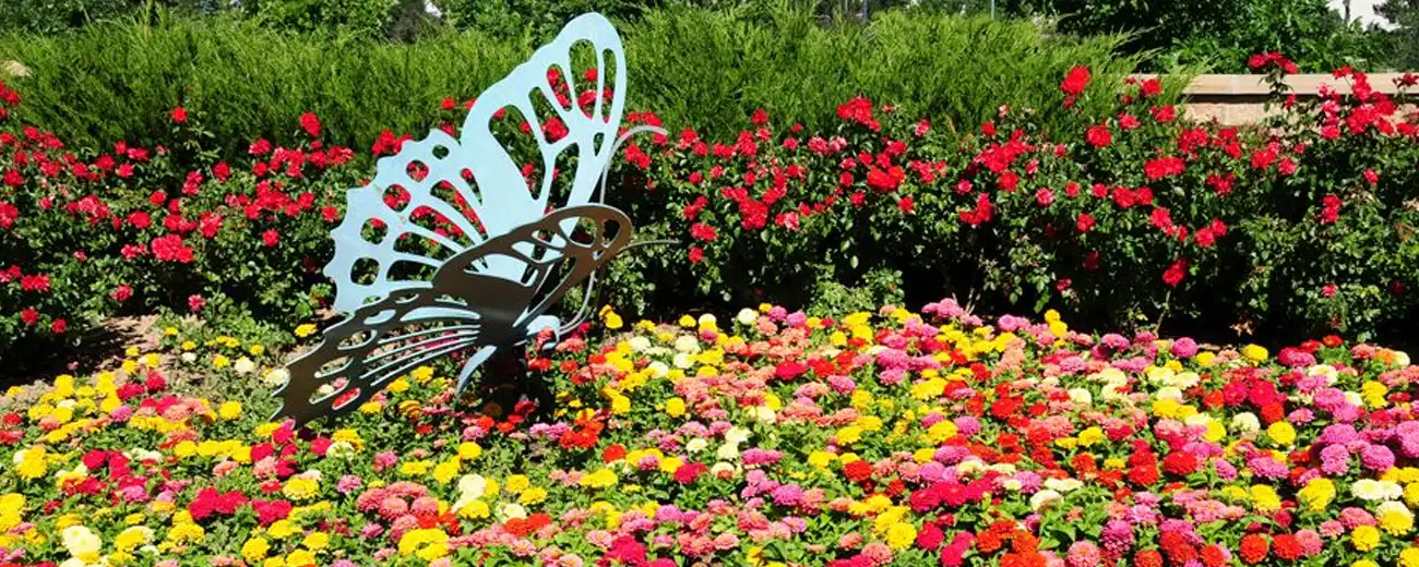 Backyard Landscaping Ideas
