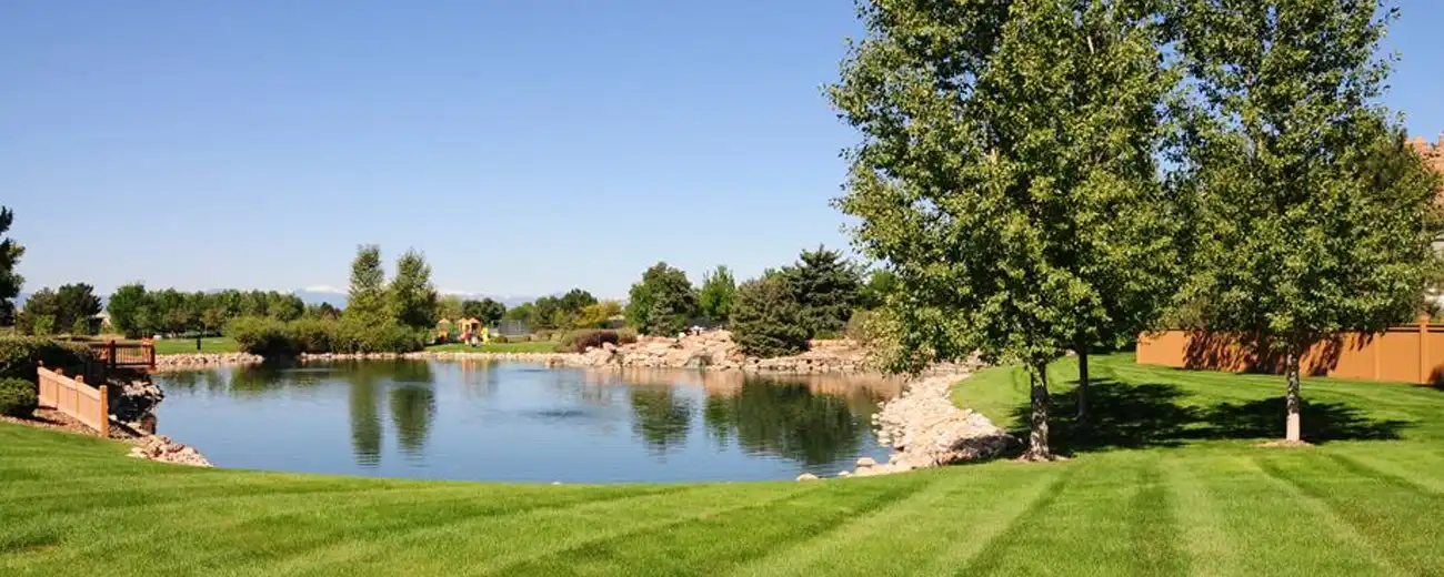 Piney Creek